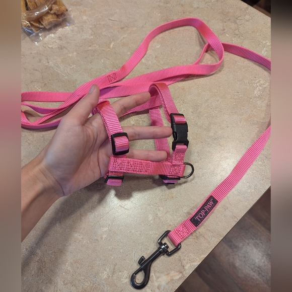 Dogs lot Harness, Leash, Toys... - Picture 10 of 15